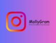 MollyGram